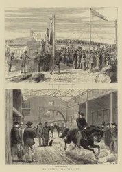 Melbourne Illustrated
